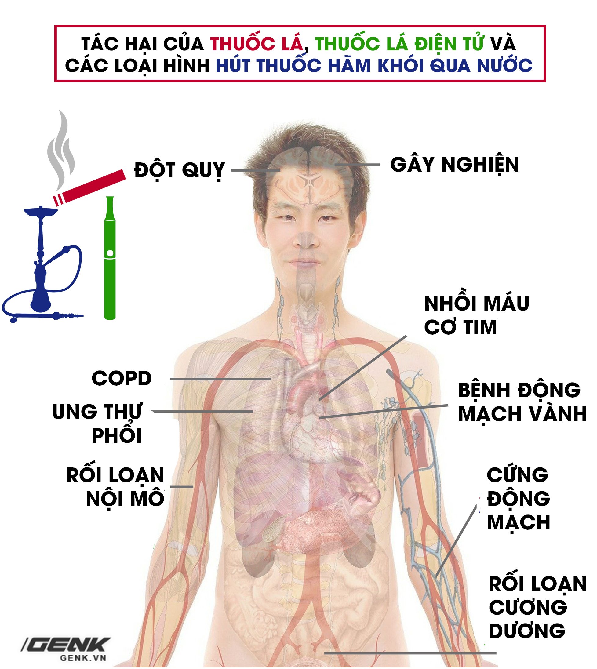 Tuyên truyền phòng, chống tác hại của thuốc lá | Trung tâm Y tế huyện Tiên  Yên